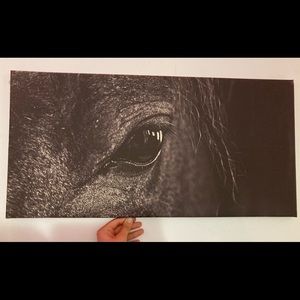Black horse wall decor picture